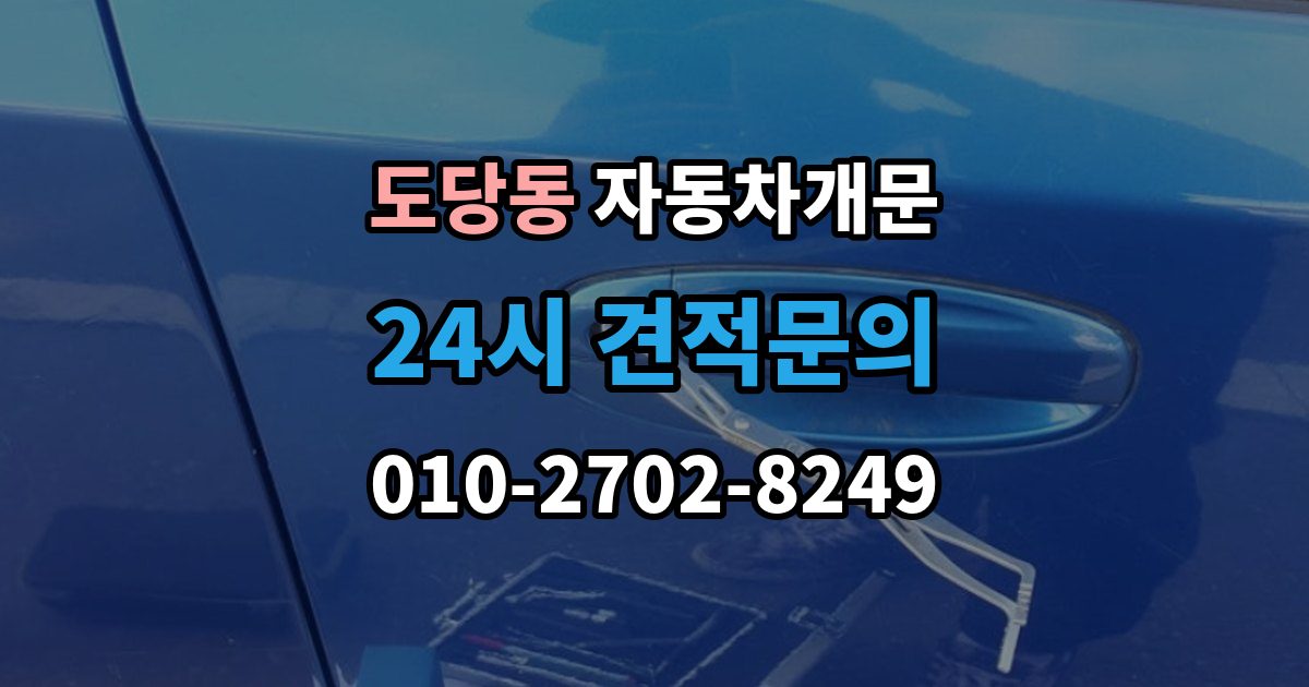 도당동 차 문 잠겼을 때 문은 열려도 시동이 안 걸릴 때 구분법