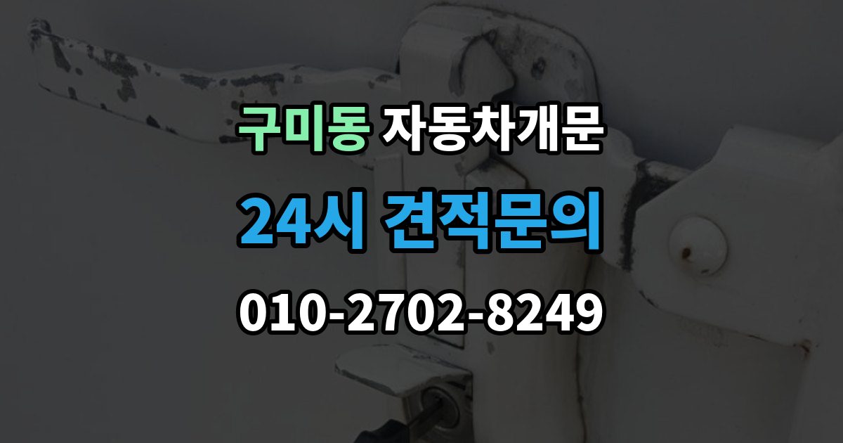성남시 분당구 구미동 자동차 문 잠김 긴급출동 서비스와 비교했을 때 차이