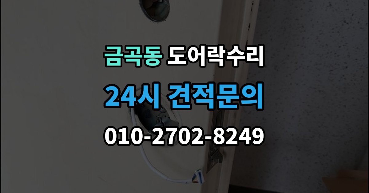 성남시 분당구 금곡동 도어락 수리 자동잠금 지연 원인과 현장 점검