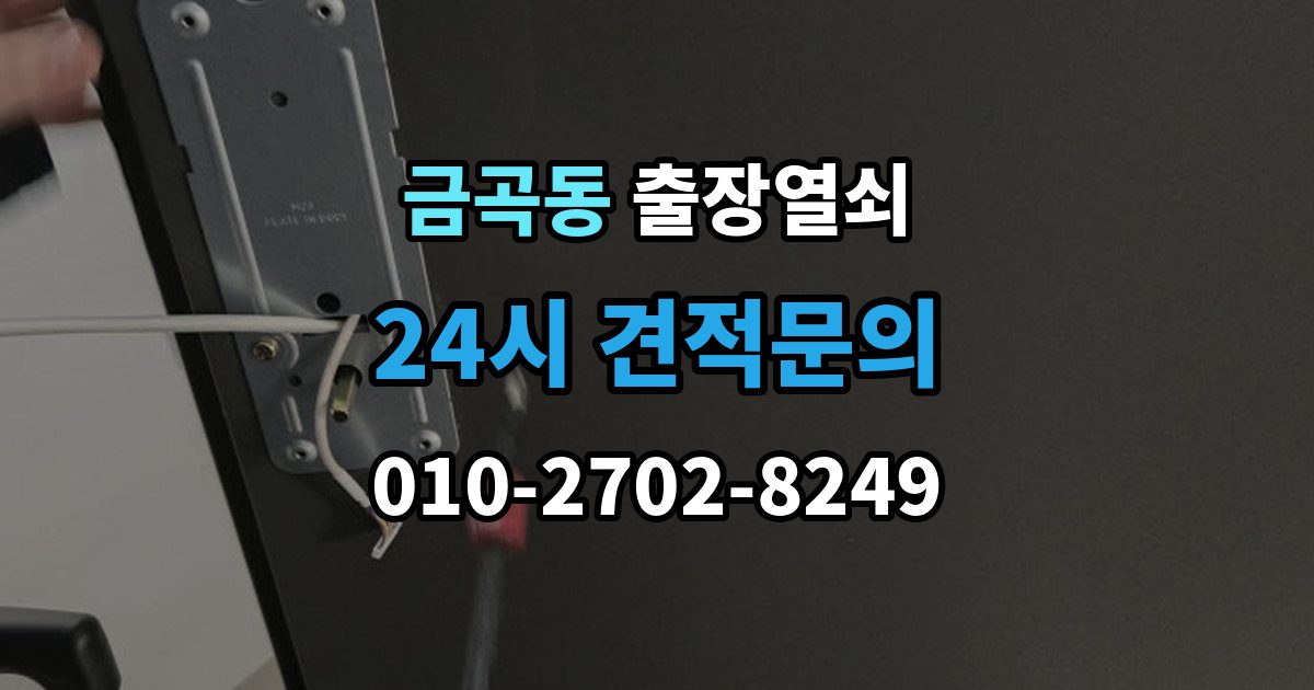 성남시 분당구 금곡동 출장 열쇠 출장 안내 - 스마트키가 살아나는 경우와 한계