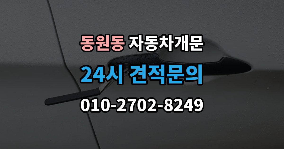 동원동 자동차 문 잠김 리모컨 오작동과 실제 잠김 구분하기