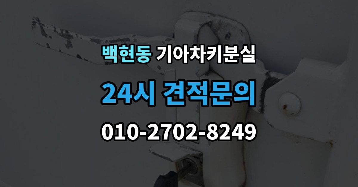 백현동 기아 차키 분실 원격 잠금 해제가 안 될 때 점검 항목