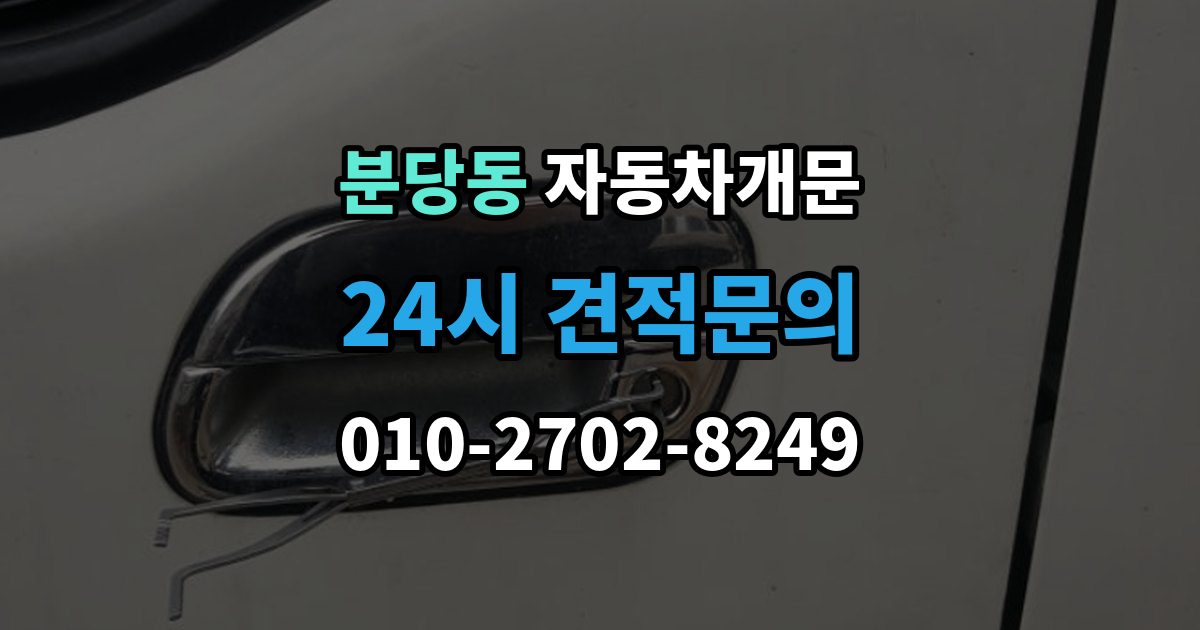 분당동 자동차 문 잠김 차량 내부에 사람이 있을 때 우선 조치