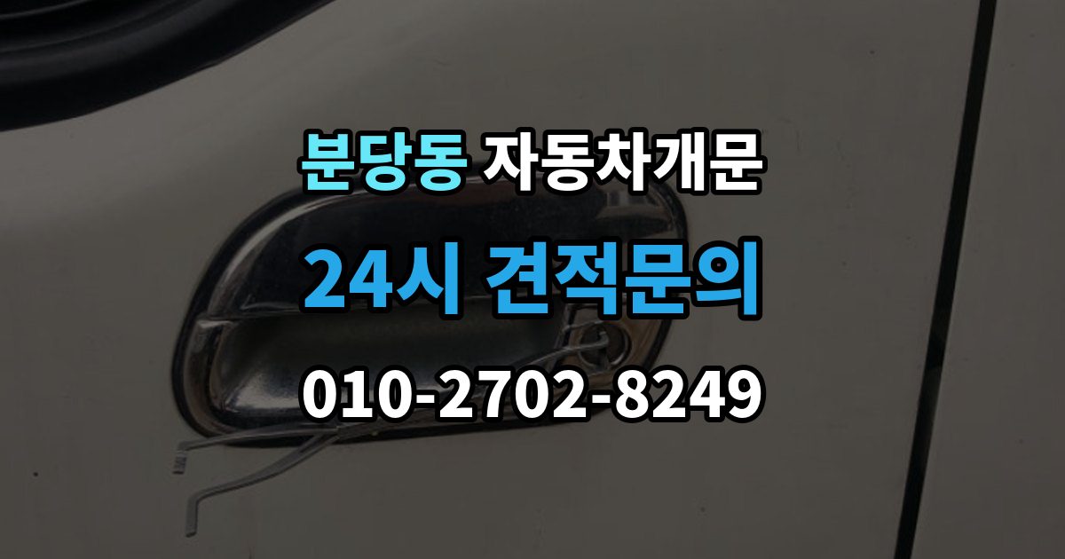 분당동 차 문 잠겼을 때 문은 열려도 시동이 안 걸릴 때 구분법