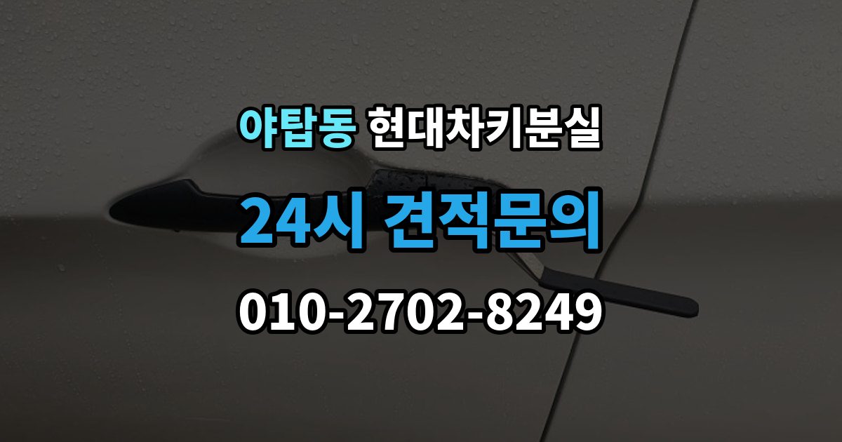 야탑동 현대 차키 분실 출장 안내 - 앱에 차량이 안 보일 때 살펴볼 설정