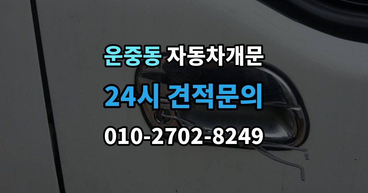 운중동 차 문 잠겼을 때 보험사 긴급출동과 전문업체 비교