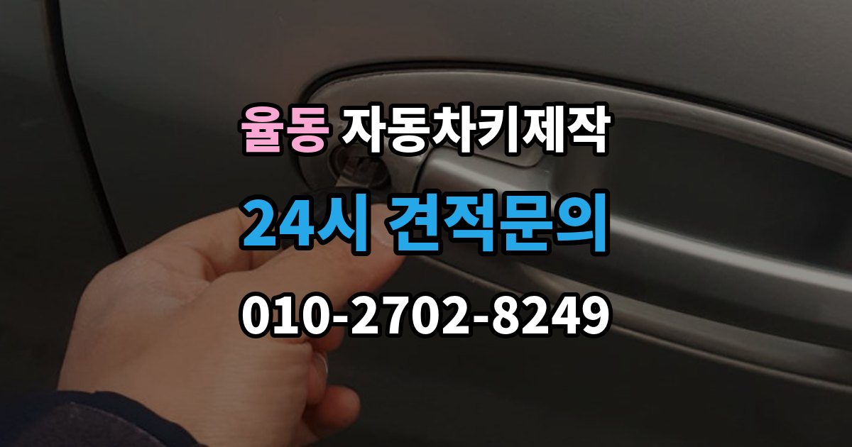 성남시 분당구 율동 자동차키 제작 키 코드와 차량 정보가 필요한 이유