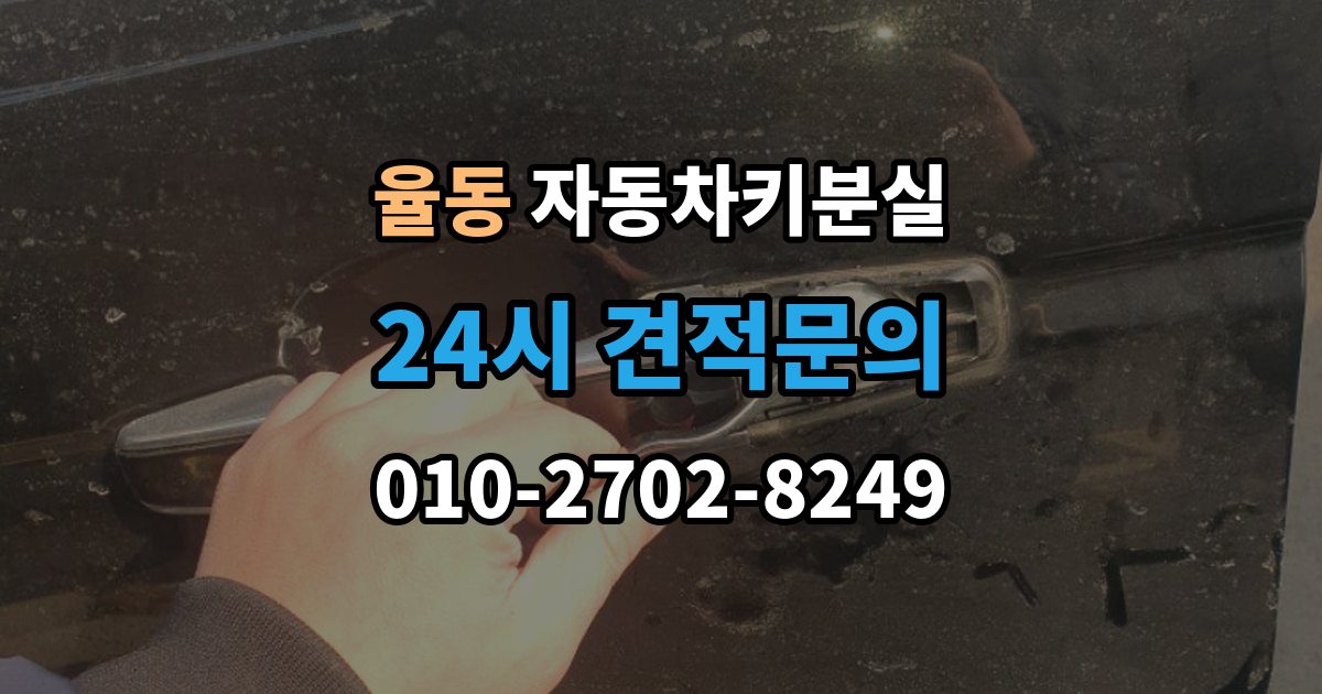 성남시 분당구 율동 차 키 잃어버렸을 때 차량 번호만으로 진행 가능한지 확인