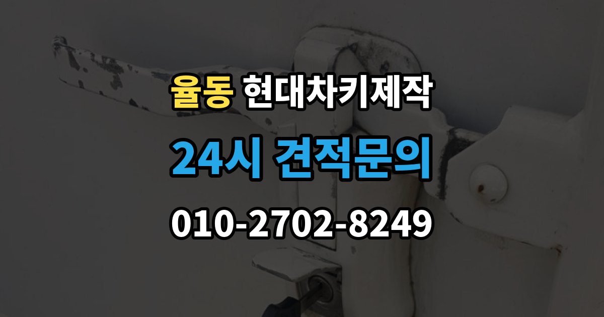 성남시 분당구 율동 현대 차키 제작 출장 안내 - 키 번호가 필요한 경우와 확인 방법