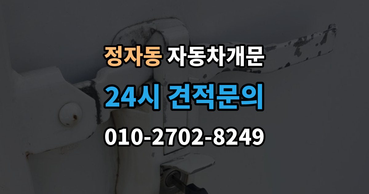 성남시 분당구 정자동 자동차 문 잠김 겨울철 결빙으로 인한 잠김과 구분하는 법