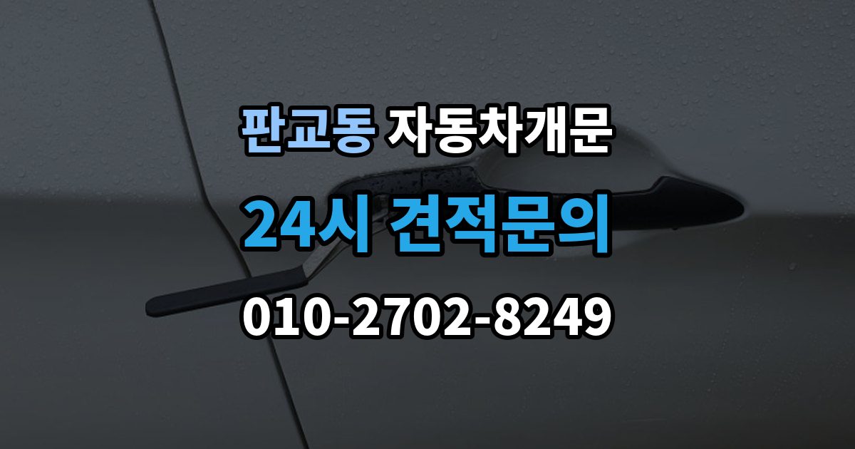 판교동 자동차 문 잠김 리모컨 오작동과 실제 잠김 구분하기