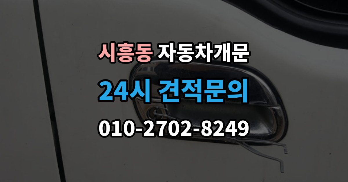 성남시 수정구 시흥동 자동차 문 잠김 겨울철 결빙으로 인한 잠김과 구분하는 법