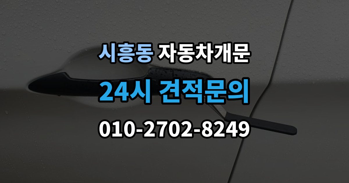 성남시 수정구 시흥동 차 문 잠겼을 때 보험사 긴급출동과 전문업체 비교
