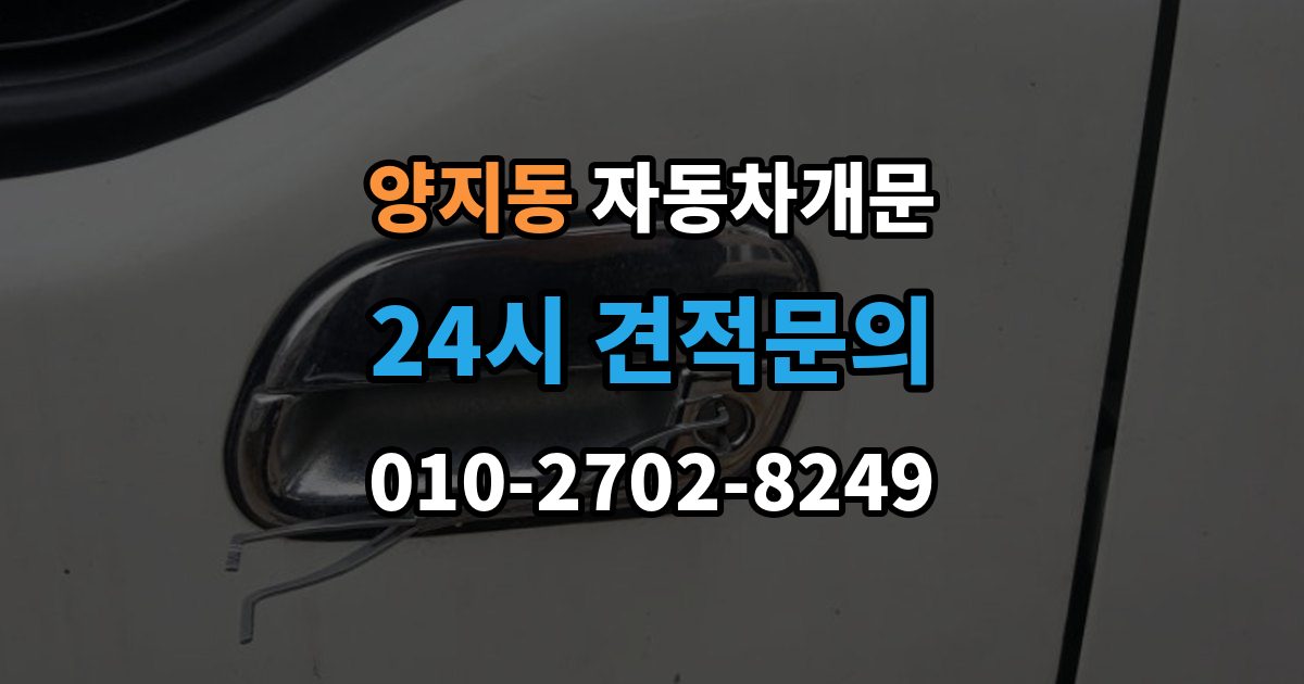 양지동 차 문 잠겼을 때 잠금 해제 후 재발생 방지하는 습관