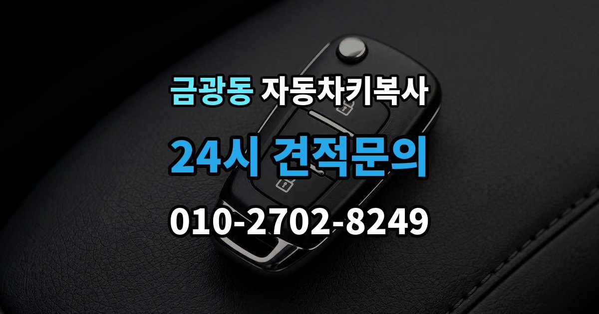 성남시 중원구 금광동 자동차키 복사 수동키로 문을 열 때 기본 사용법