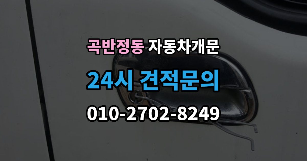 곡반정동 차 문 잠겼을 때 아이나 반려동물이 안에 있을 때 우선순위