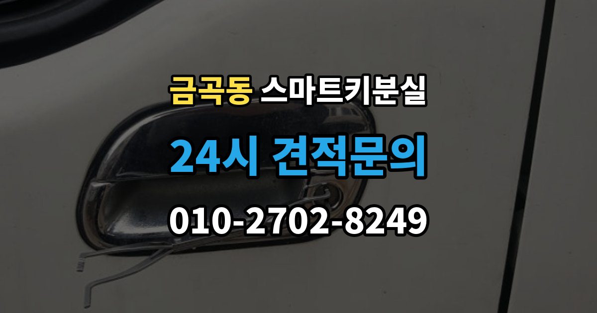 수원시 권선구 금곡동 스마트키 분실 출장 안내 - 예비키 보관 위치를 다시 점검하는 법