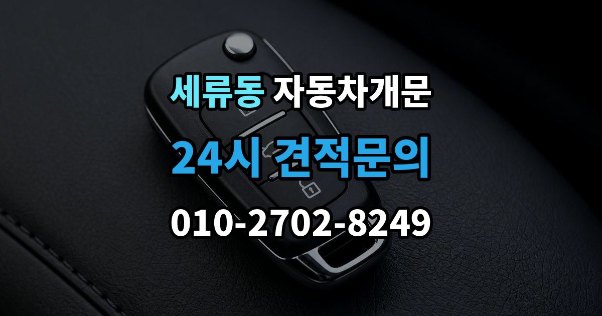 세류동 자동차 문 잠김 리모컨 오작동과 실제 잠김 구분하기