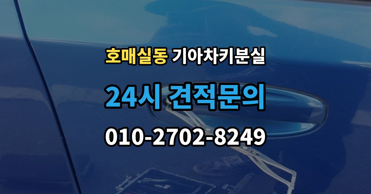 호매실동 기아 차키 분실 출장 안내 - 스마트키 앱 연동 상태 확인이 필요한 경우