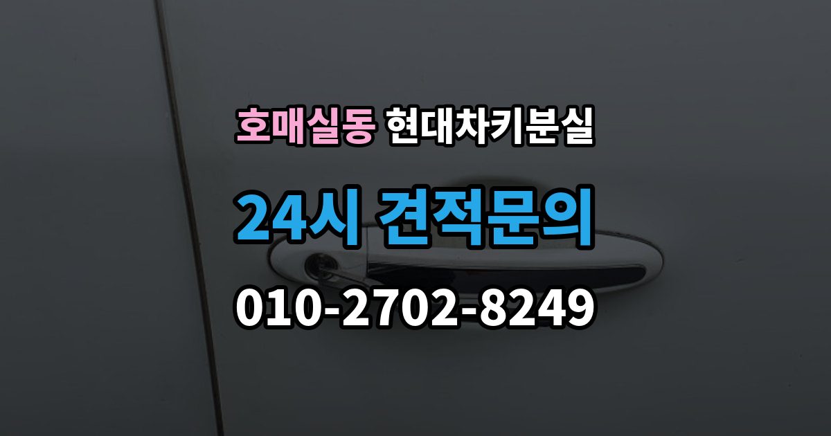 호매실동 현대 차키 분실 출장 안내 - 차량 뒷번호가 없어도 진행 가능한 경우 정리