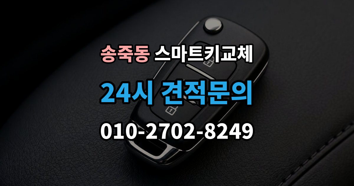 수원시 장안구 송죽동 스마트키 교체 버튼 반응이 둔할 때 점검할 항목