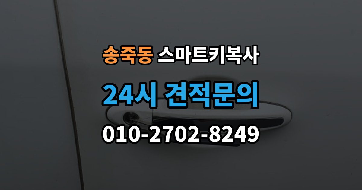 수원시 장안구 송죽동 스마트키 복사 출장 안내 - 서비스가 필요한 대표 상황 정리