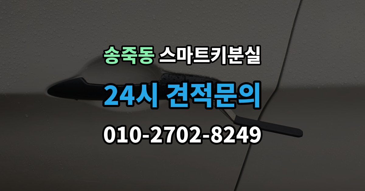 수원시 장안구 송죽동 스마트키 분실 신고 전에 챙겨둘 서류 목록