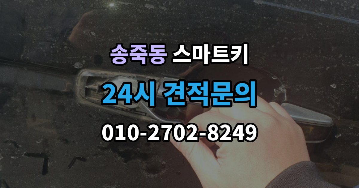 수원시 장안구 송죽동 스마트키 출장 안내 - 분실했을 때 처리 순서와 유의점