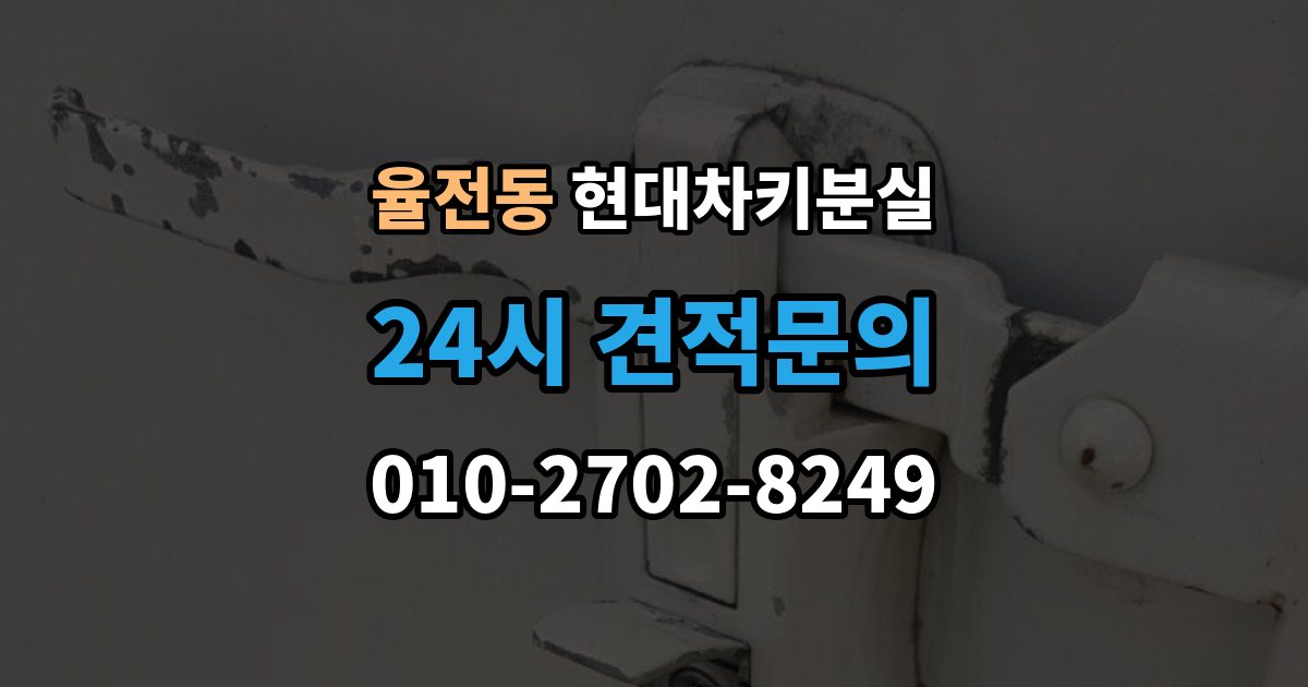 율전동 현대 차키 분실 디지털키 연동 가능 범위와 제한 살펴보기