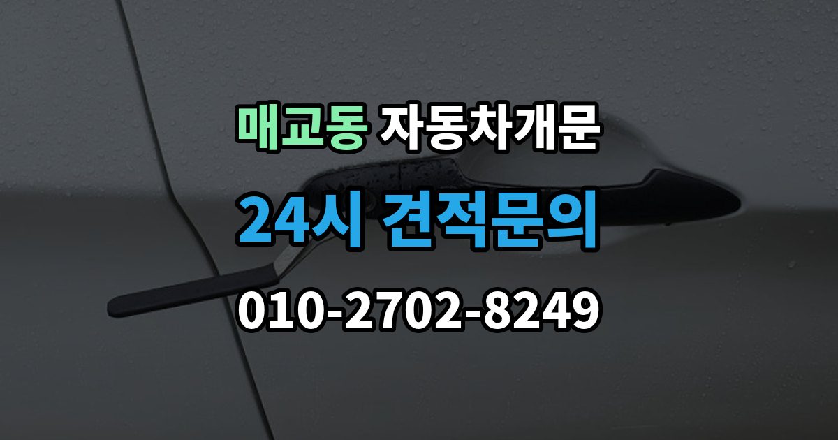 매교동 자동차 문 잠김 잠금 상태를 스스로 점검하는 방법