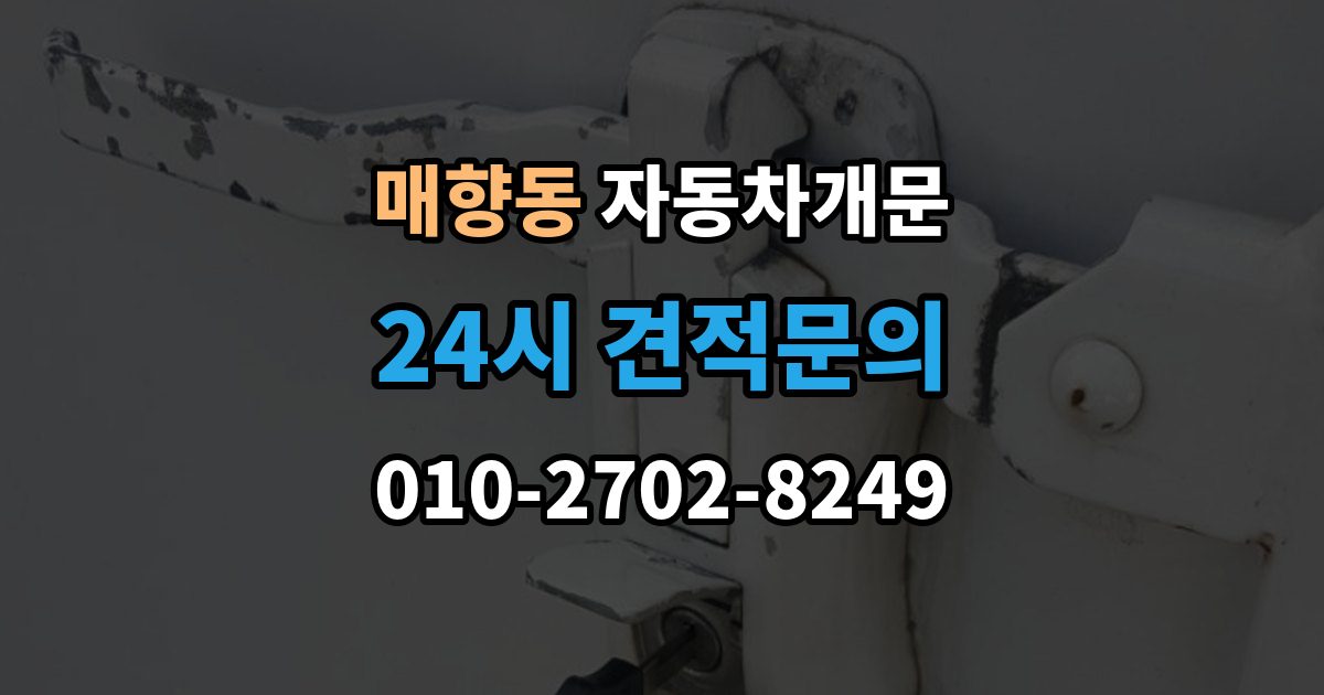 매향동 차 문 잠겼을 때 출장 안내 - 보험사 긴급출동과 전문업체 비교