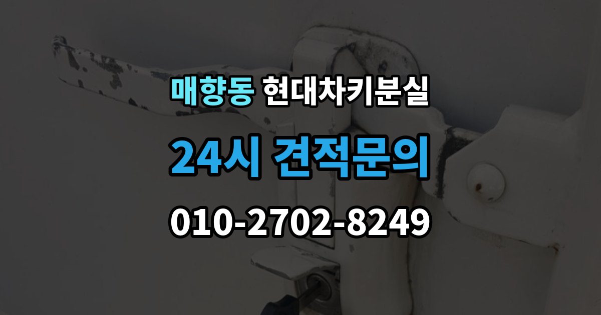 매향동 현대 차키 분실 차량별 키 개수와 보관 팁 정리