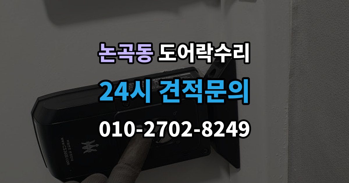 논곡동 도어락 수리 출장 안내 - 잠금이 유지되지 않을 때 나타나는 대표 증상