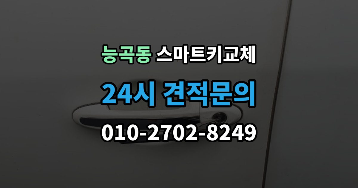 능곡동 스마트키 교체 출장 안내 - 차량 문이 잠긴 채 보일 때 상담 전 확인할 점