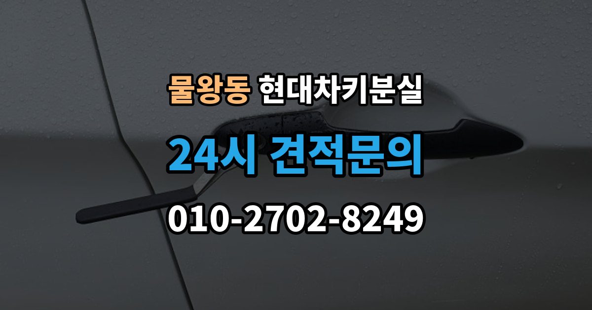 물왕동 현대 차키 분실 차문은 열리지만 키 인식이 안 될 때