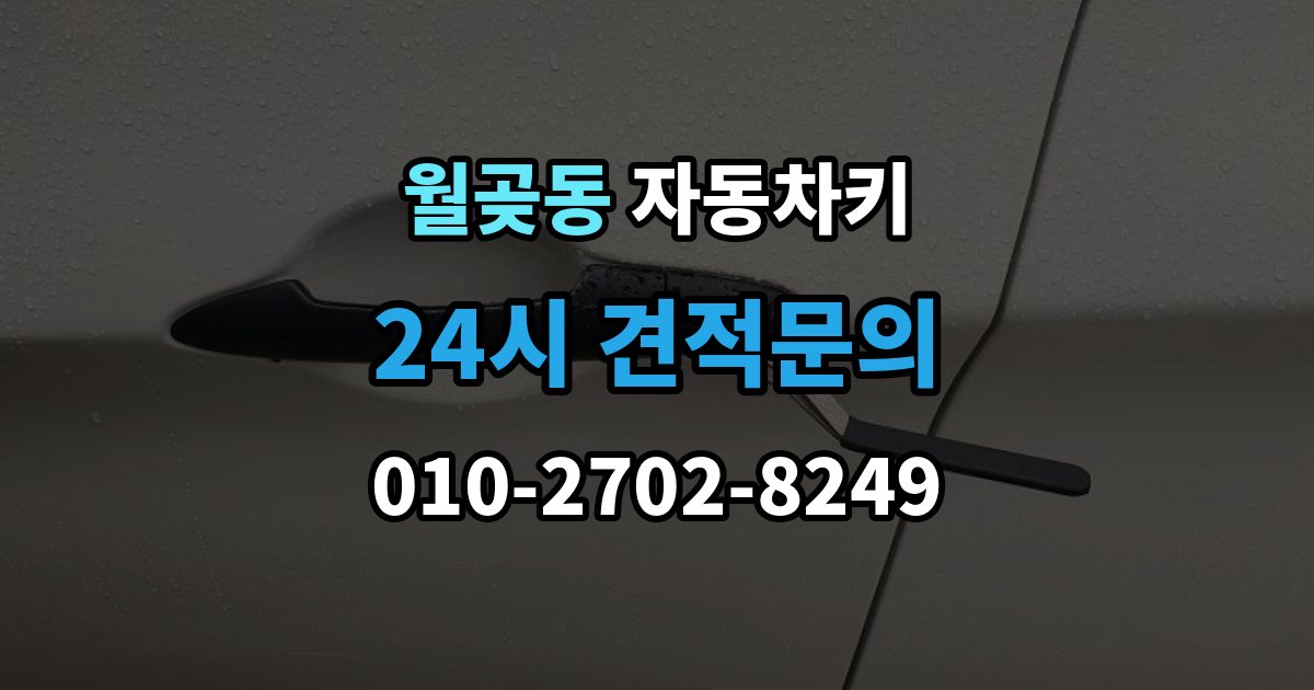 월곶동 자동차키 원격 시동 사용 조건과 제한 사항