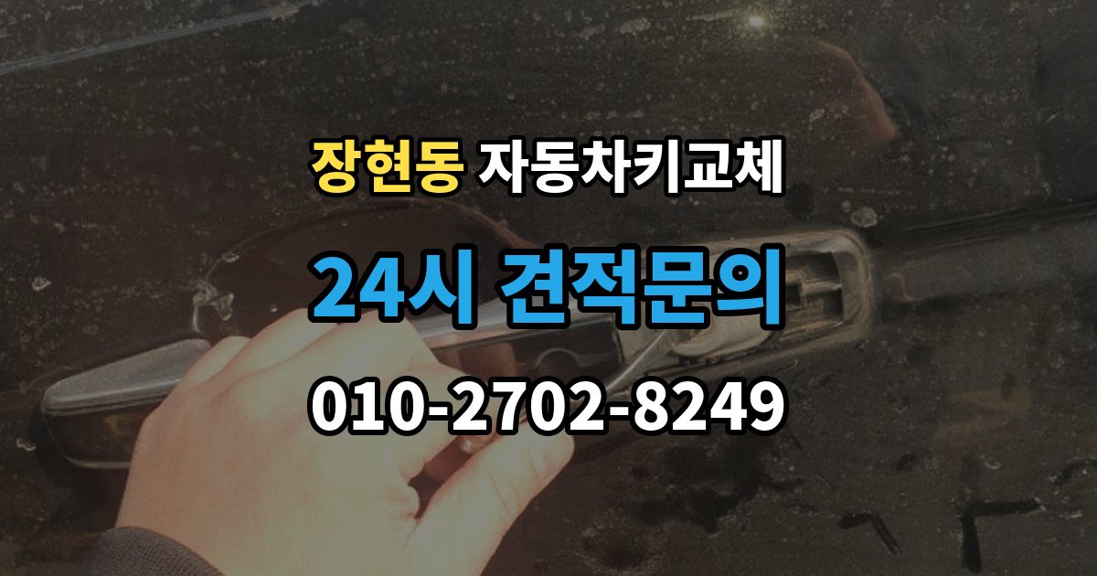 시흥시 장현동 자동차키 교체 출장 안내 - 도어락 손상 여부 확인하기