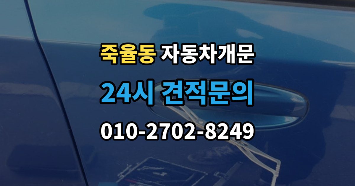 죽율동 차 문 잠겼을 때 문은 열려도 시동이 안 걸릴 때 구분법