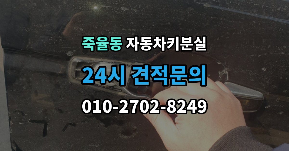 죽율동 차 키 잃어버렸을 때 가족 예비키가 있을 때와 없을 때 차이