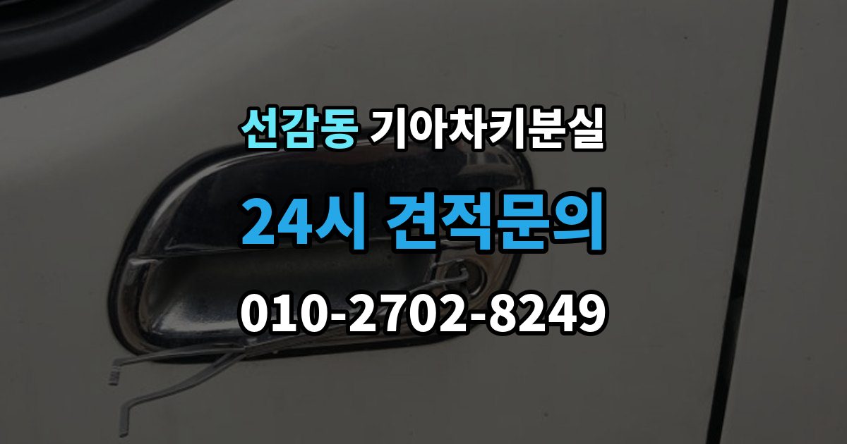 선감동 기아 차키 분실 출장 안내 - 차량 배터리와 키 배터리를 함께 봐야 하는 이유