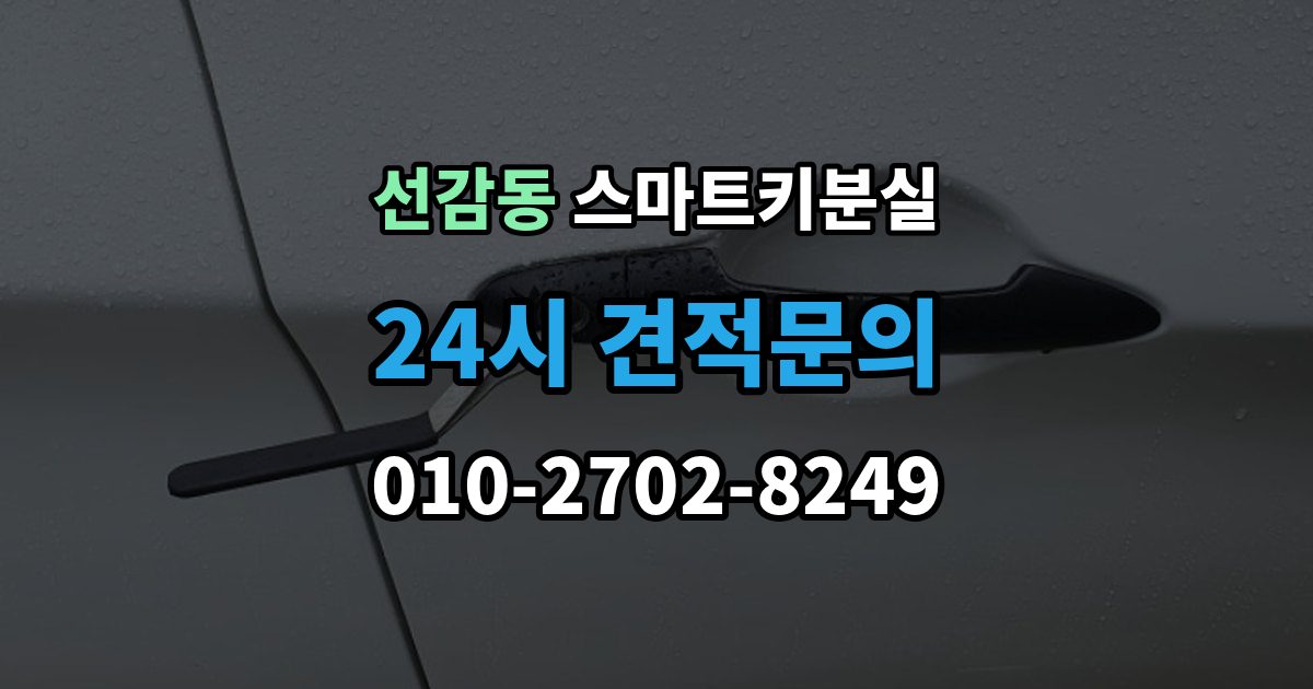 선감동 스마트키 분실 출장 안내 - 초기화가 필요한 경우와 점검 순서