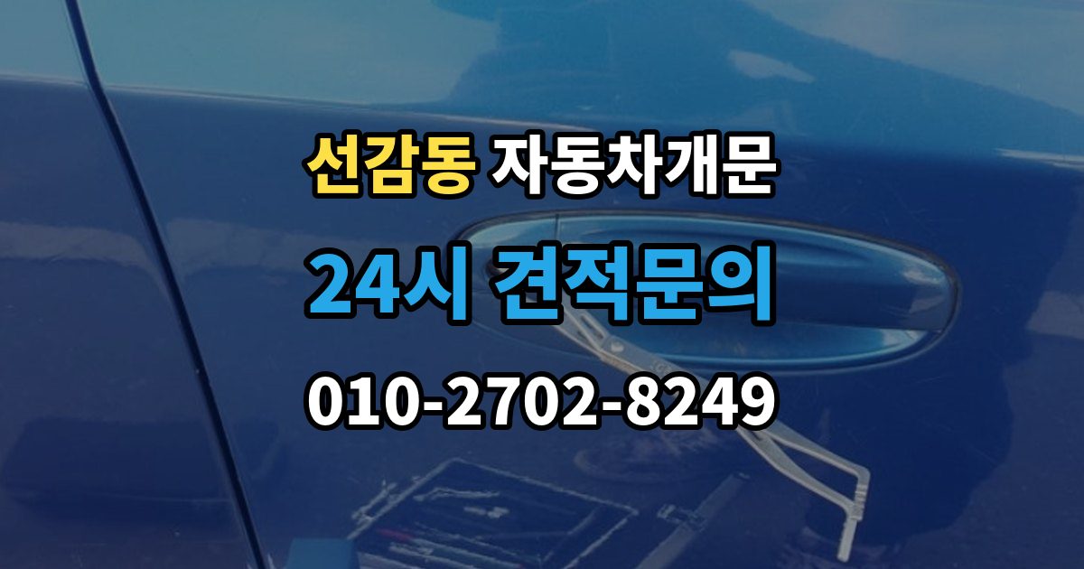 선감동 차 문 잠겼을 때 잠금 해제 후 재발생 방지하는 습관
