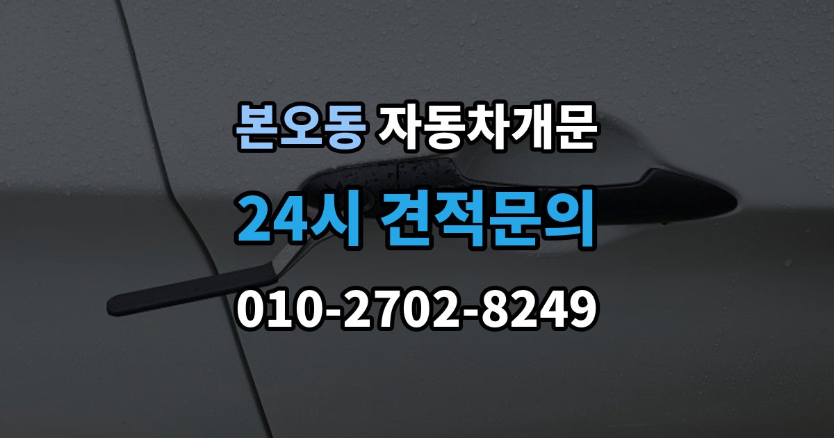 본오동 차 문 잠겼을 때 출장 안내 - 보험사 긴급출동과 전문업체 비교