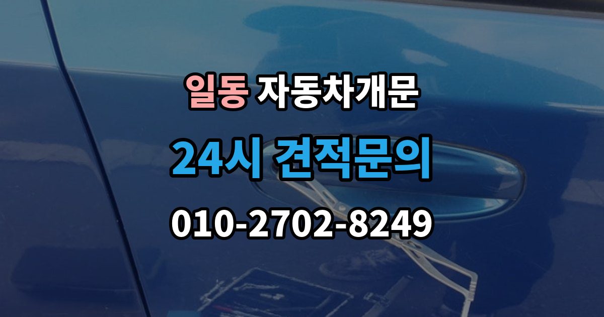 일동 차 문 잠겼을 때 문은 열려도 시동이 안 걸릴 때 구분법