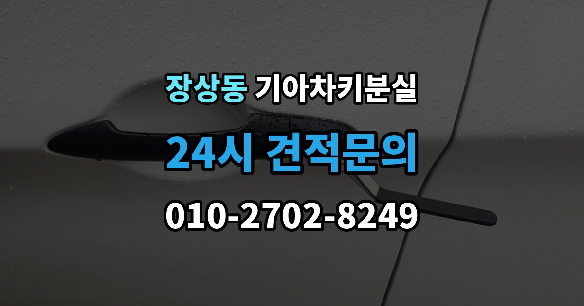 장상동 기아 차키 분실 남아 있는 키로 재등록하는 흐름