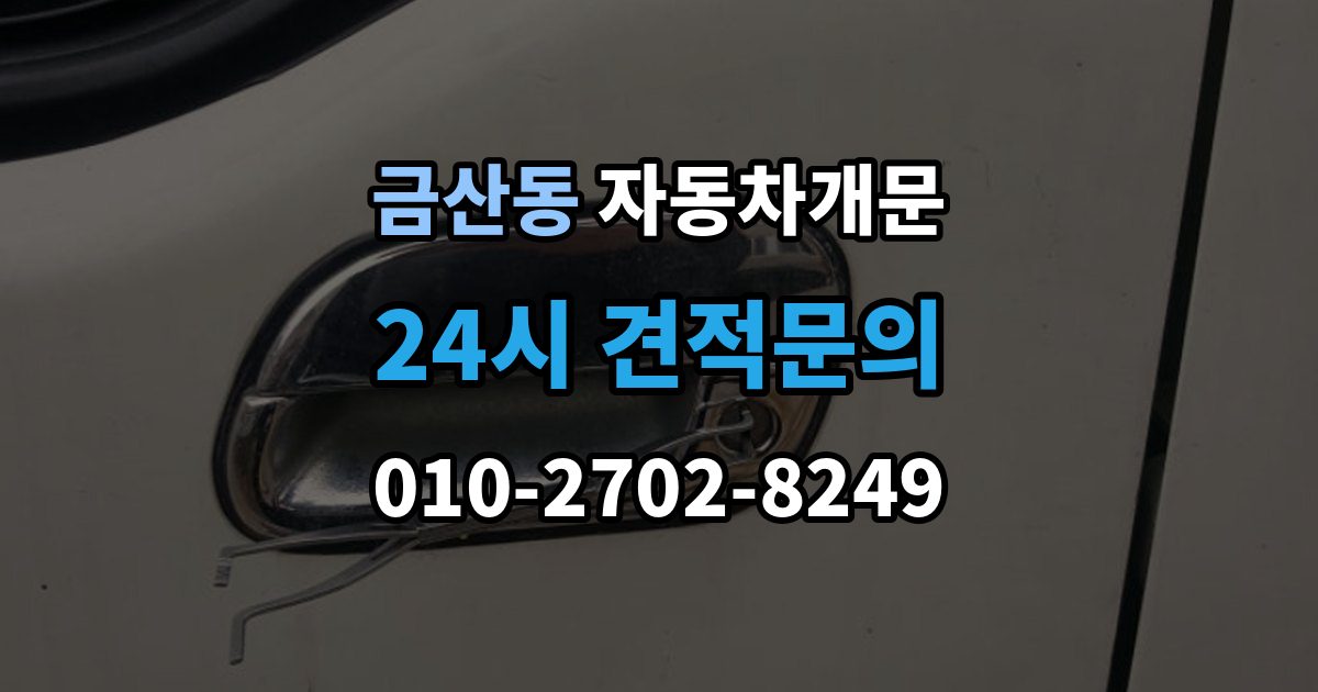 금산동 차 문 잠겼을 때 잠금 해제 후 재발생 방지하는 습관