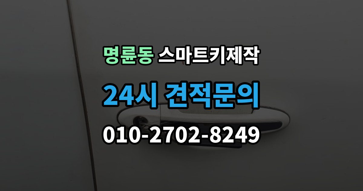 안성시 명륜동 스마트키 제작 주차장 방문 서비스로 가능한 작업과 한계