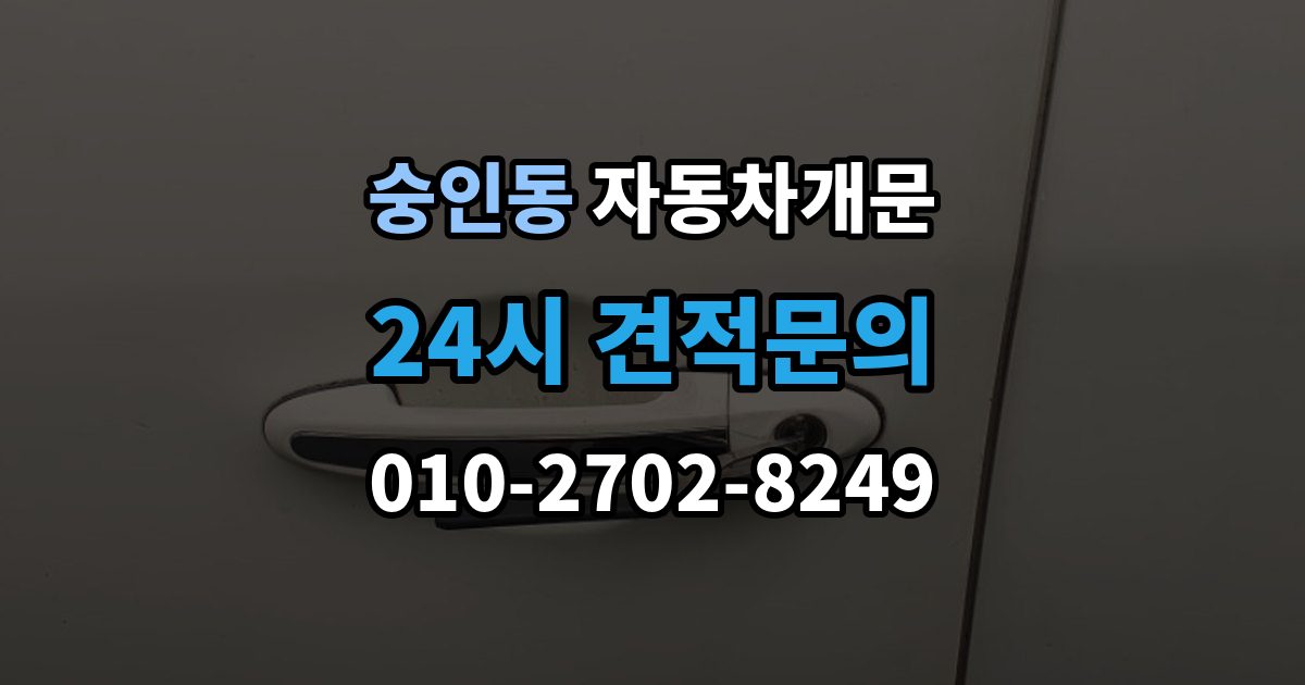 안성시 숭인동 차 문 잠겼을 때 잠금 해제 후 재발생 방지하는 습관