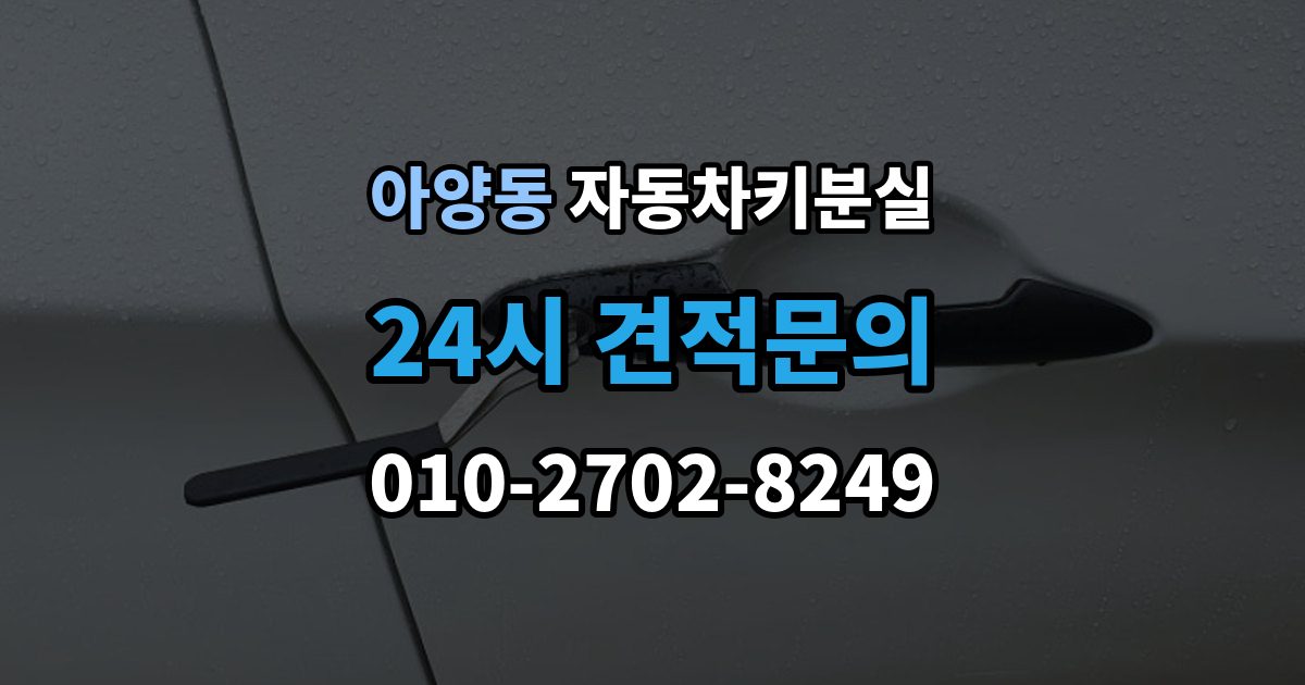 안성시 아양동 자동차키 분실 시동은 되지 않고 잠금만 풀릴 때 대처법