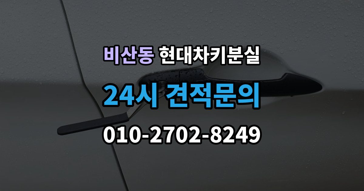 안양시 동안구 비산동 현대 차키 분실 도어락은 반응하는데 원격 기능이 안 될 때